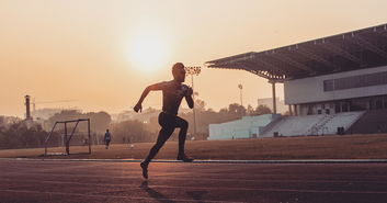 Leyu Sports (乐鱼体育)-“龙泉驿东安湖体育公园：赛场热力四射，运动员激情无限”