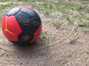 乐鱼体育平台app下载-中国篮球推动青少年比赛规则标准统一促进公平竞争，篮球青少年联赛