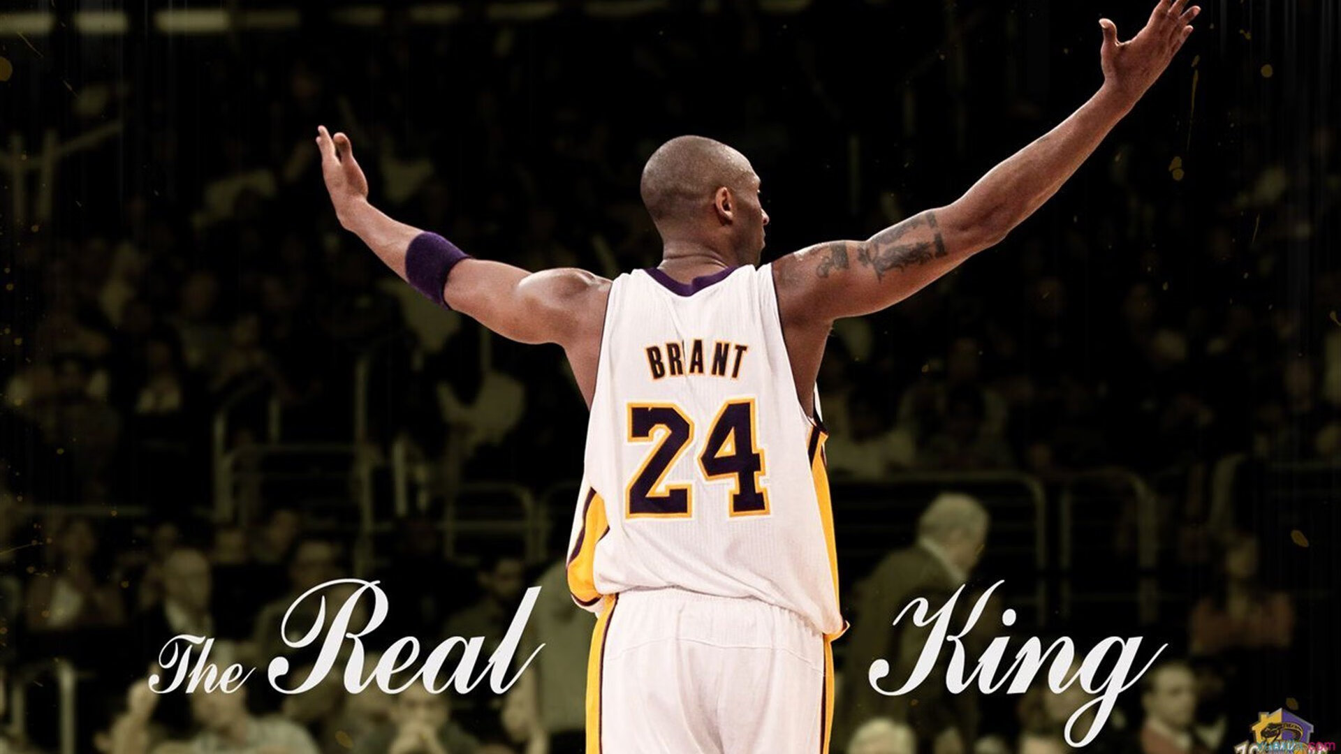 粉丝互动：WRC粉丝的现场激情与热血瞬间，粉丝互动游戏有哪些